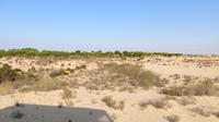 Doñana (30)