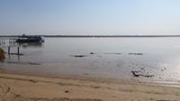 Doñana (57)