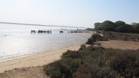 Doñana (58)