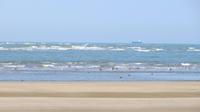 Doñana (66)