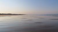 Doñana (7)
