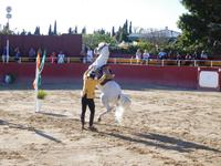 El Cartujano14