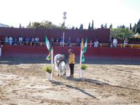 El Cartujano15