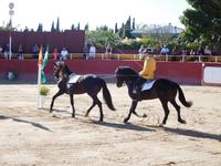 El Cartujano2