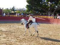 El Cartujano23