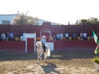 El Cartujano25