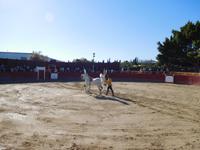 El Cartujano4