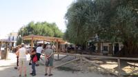 El Rocio (6)