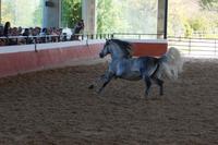 Fast motion