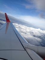 Flug