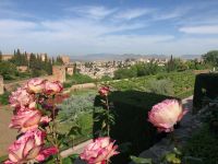 GRANADA - Ausblick von den Gärten der Alhambra