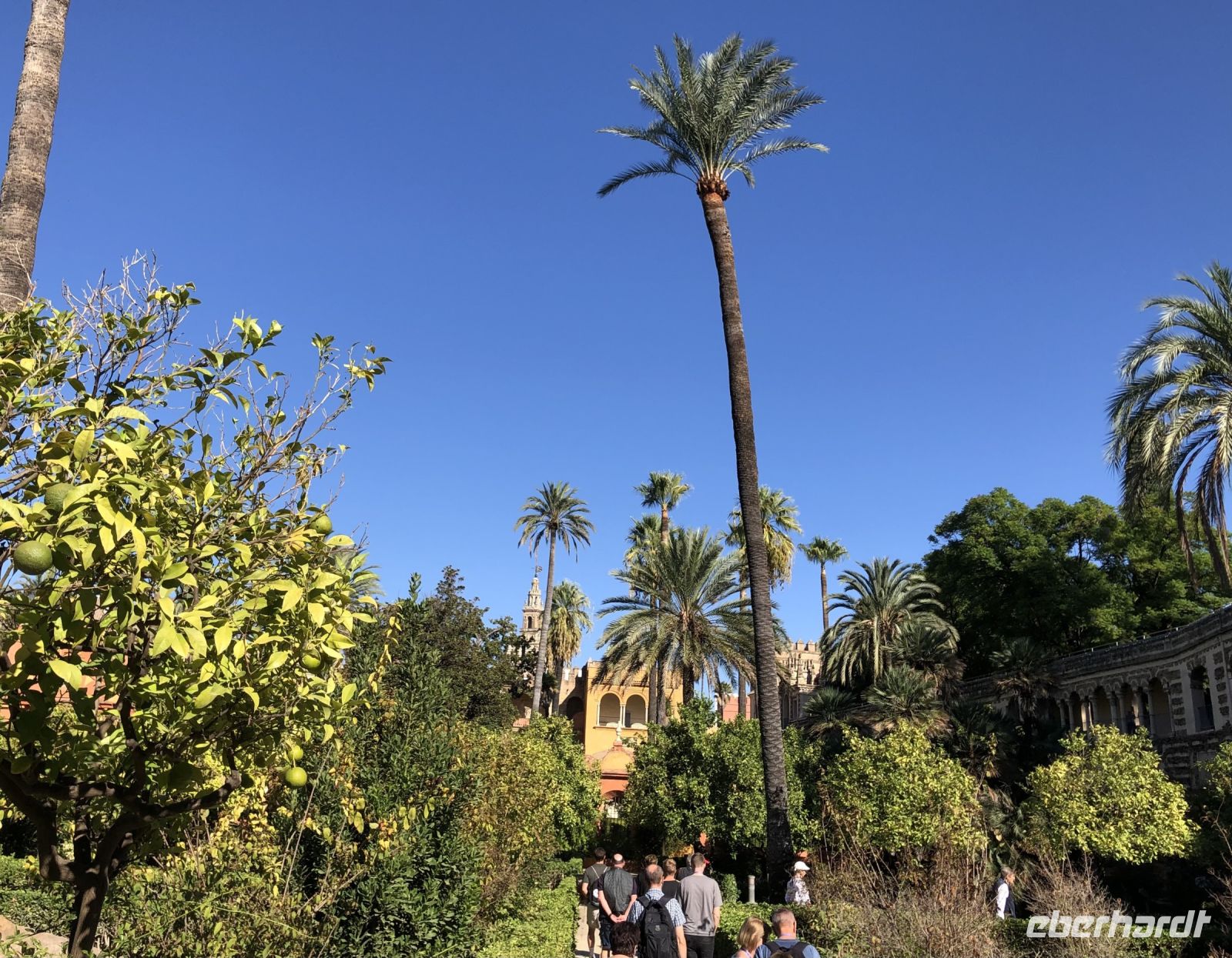 Garten Real Alcazar