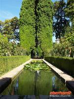 Generalife