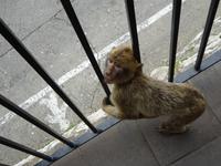 Gibraltar (18)