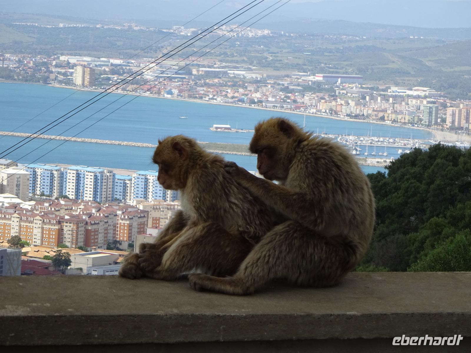 Gibraltar (26)