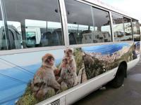 Gibraltar Minibusse