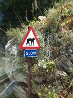 Gibraltar