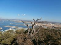 Gibraltar