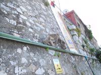 Gibraltar18