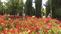Granada - Generalife