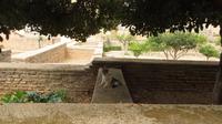 Granada - Katze