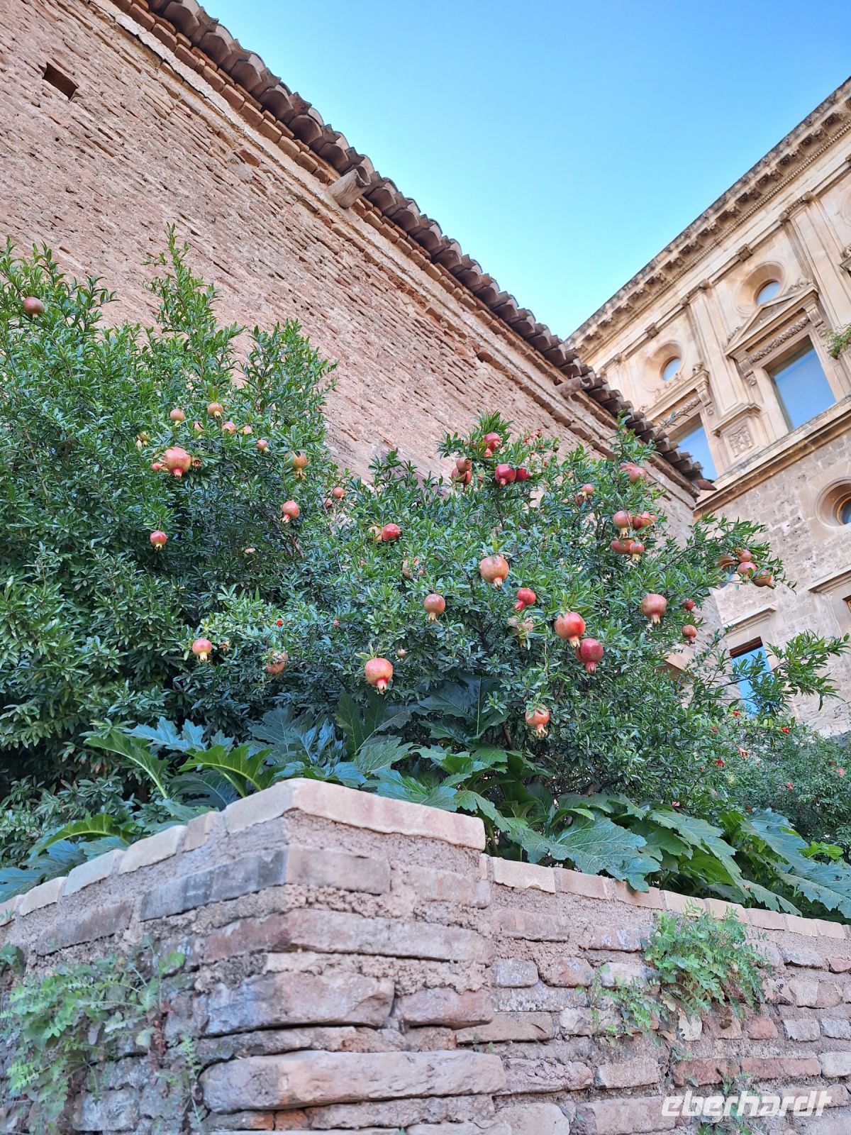 Granada: Alhambra