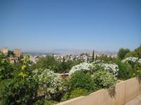 Granada13