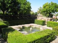 Granada15