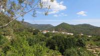 IMG_5892