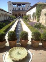 Im Generalife-Garten der Alhambra