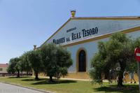 Jerez de la Frontera - Bodega Marques del Real Tesoro - L9982677