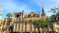Kathedrale, Sevilla. Rundreise Andalusien - der Zauber Spaniens 