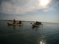 Kayak1 (29)