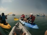 Kayak1 (4)