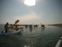 Kayak1 (6)