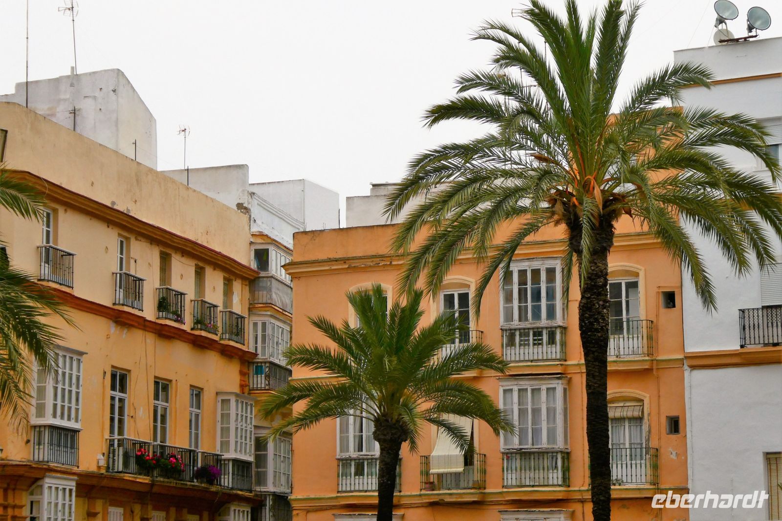 Kontraste in Cadiz
