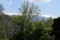 La Sierra Nevada