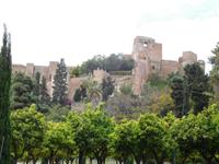 Málaga36