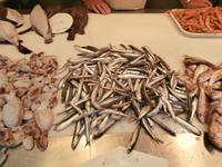 Malaga Markthalle