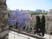 Malaga