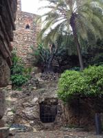 Malaga