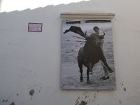 Manolete in Aktion