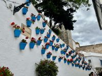 Marbella 