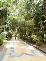 Marbella-Palmenpark