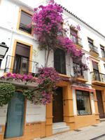 Marbella