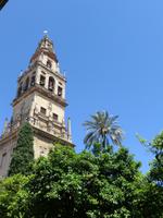 Mezquita