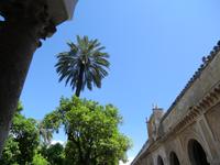 Mezquita