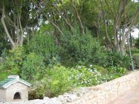 Mijas13