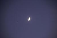 Mond