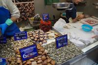 Muschelstand 
